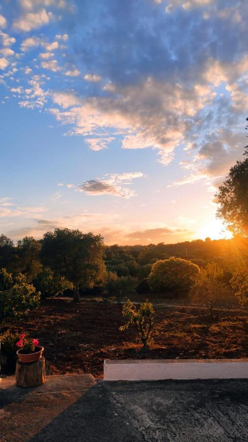 הוילה צ'לייה מספיקה Casa Vacanze In Valle D'Itria מראה חיצוני תמונה